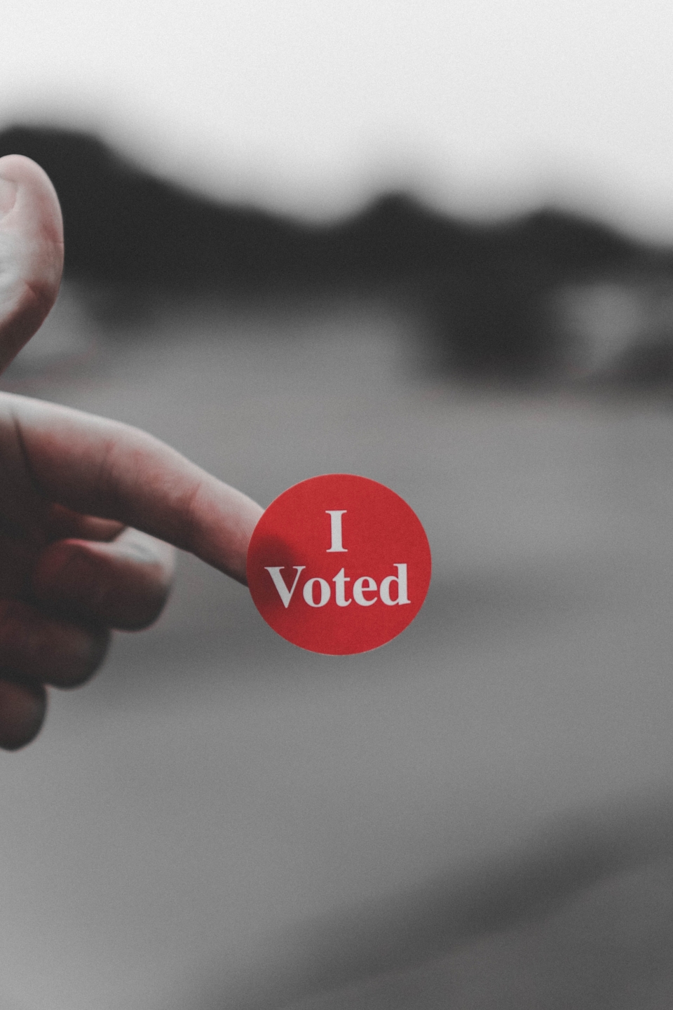 I voted button