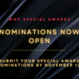 special award nominations open